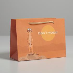 Пакет подарочный «Don not worry», 14,5 × 19,5 × 8,5 см 4783335