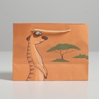 Пакет подарочный «Don not worry», 14,5 × 19,5 × 8,5 см 4783335