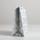 Пакет металлизированный вертикальный «Яркий праздник», MS 18 х 23 х 10 см (12 шт) - фото 801762011