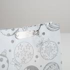 Пакет металлизированный вертикальный «Яркий праздник», MS 18 х 23 х 10 см (12 шт) - фото 801762012