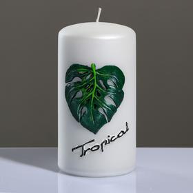 Свеча - цилиндр "Tropical", 7×13 см, жемчужный белый