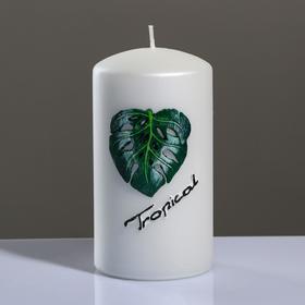 Свеча - цилиндр "Tropical", 8×15 см, жемчужный белый