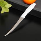 Kitchen knife "Aria" for citrus, 12 cm, color MIX