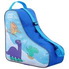 Bag for skates and the Friends of the rollers 36,5x35,2 cm Bag for skates and the Friends of the rollers 36,5x35,2 cm