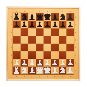 {{photo.Alt || photo.Description || 'Шахматы и шашки демонстрационные магнитные 73х73х3.5 см'}}
