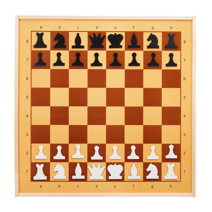 Шахматы и шашки демонстрационные магнитные 73х73х3.5 см - фото 2391916