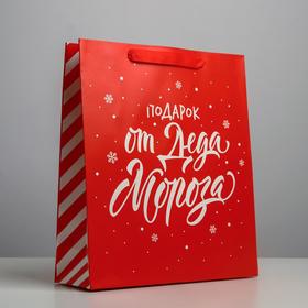 Пакет ламинированный вертикальный «Подарок от Деда Мороза», M 26 × 30 × 9 см