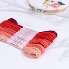 Set of threads floss 8±1m (nab 7pcs price per nab) spectrum red AU Set of threads floss 8±1m (nab 7pcs price per nab) spectrum red AU