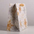 Пакет ламинированный горизонтальный «Волшебные снежинки», ML 27 × 23 × 11,5 см 4843419