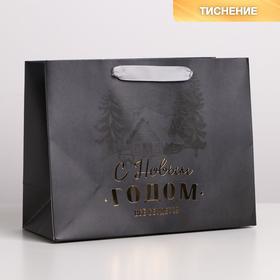 Пакет ламинированный горизонтальный «Лесная опушка», MS 23 × 18 × 10 см (6 шт)