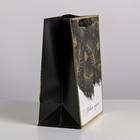 Пакет ламинированный вертикальный «Сказочная ночь», MS 18 × 23 × 10 см (6 шт) - фото 801763986