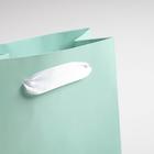 Пакет подарочный «Мятный», 11,5 × 14.5 × 6 см 5047665