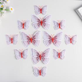 Magnet plastic "Butterfly double wings" set 12 PCs MIX