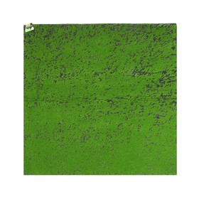 {{photo.Alt || photo.Description || 'Мох искусственный, декоративный, полотно 1 × 1 м, зелёный на чёрном'}}
