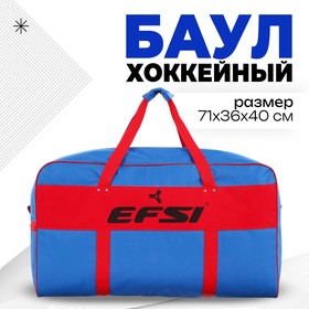 Баул хоккейный №5 EFSI детский