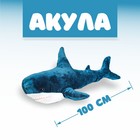 Мягкая игрушка «Акула», 100 см, БЛОХЭЙ 5414651 - фото 7482724