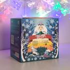 Гирлянда «Нить» 2 м с насадками «Снежинка матовая», IP20, прозрачная нить, 36 LED, свечение мульти (RG/RB), мигание, 220 В 5148895