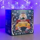 Гирлянда «Нить» 2 м с насадками «Снежинка матовая», IP20, прозрачная нить, 36 LED, свечение синее, 220 В 5148898