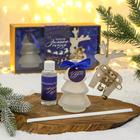 Gift set "feel the winter fairy tale", aroma diffuser, Christmas tree toy