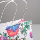 Пакет подарочный крафт «С 8 марта», 22 × 25 × 12 см 5134137