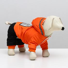 Комбинезон Dog Care, размер S (ДС 23, ОШ 22, ОГ 33 см), оранжевый