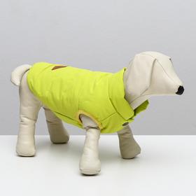 Jacket for dogs, XXL (DS 40 cm, OSH 35 cm, OG 55 cm), yellow