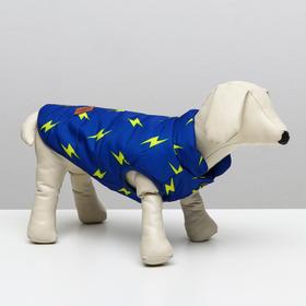 Куртка для собак "Молния", L (ДС 30 см, ОШ 29 см, ОГ 44 см), ярко-синяя