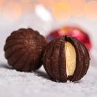 Конфеты шоколадные «Сказочного года»: со вкусом пломбира с карамелью, 100 г 5051112