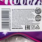 Конфеты шоколадные «Сказочного года»: со вкусом пломбира с карамелью, 100 г 5051112