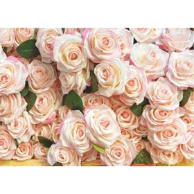 Фотообои B-013 Bellissimo "Роскошные розы", 8 листов 2800х2000мм