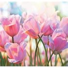Фотообои В-019 Bellissimo "Весенние тюльпаны" 210*200 см - фото 1020942