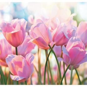 Фотообои В-019 Bellissimo "Весенние тюльпаны" 210*200 см