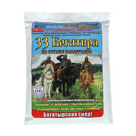 Fertilizer for improving the soil 33 Bogatyr, 1l. 