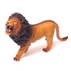 Фигурка животного «Африканский лев», длина 35 см - фото 8725027
