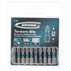 Набор бит торсионных Gross 11484, сталь S2, PZ2x25 мм, 1/4", 10 шт 5484287 Набор бит торсионных Gross 11484, сталь S2, PZ2x25 мм, 1/4", 10 шт 5484287