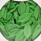 Лист розы малый 38 мм, зелёный, 1000 шт. - фото 801493407