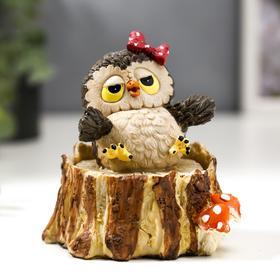 Polystone box "Owl with a bow" 10, 5x8, 5x9 cm