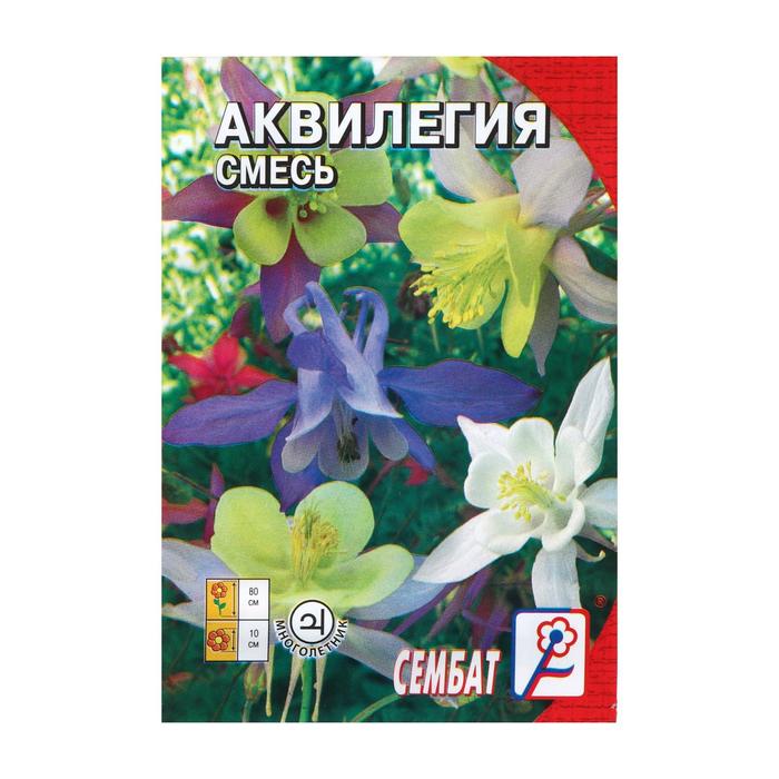 Аквилегия Купить