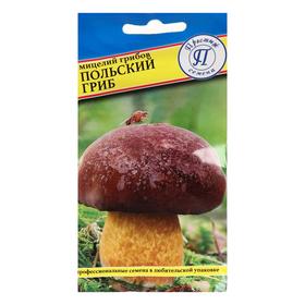 Мицелий грибов Польский гриб,   60 мл
