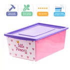 Ящик для игрушек, с крышкой «Принцесса», объём 30 л, цвет розовый - фото 106929622