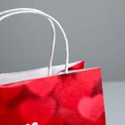 Пакет подарочный крафт «All you need is love», 22 × 25 × 12 см 5134144