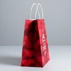 Пакет подарочный крафт «All you need is love», 22 × 25 × 12 см 5134144