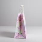 Пакет подарочный крафт «Нежность», 22 × 25 × 12 см 5134141