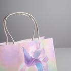 Пакет подарочный крафт «Нежность», 22 × 25 × 12 см 5134141