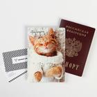 Обложка для паспорта "Котенок" (1 шт) - фото 1159037