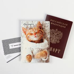 Обложка для паспорта "Котенок" (1 шт)