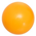 Мяч, диаметр 200 мм, МИКС - фото 1046361