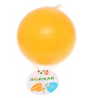 Мяч, диаметр 200 мм, МИКС - фото 797338558