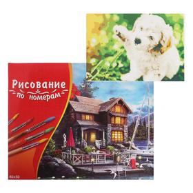 Картина по номерам 40×50 см в коробке, 20 цветов «Игривый щенок»