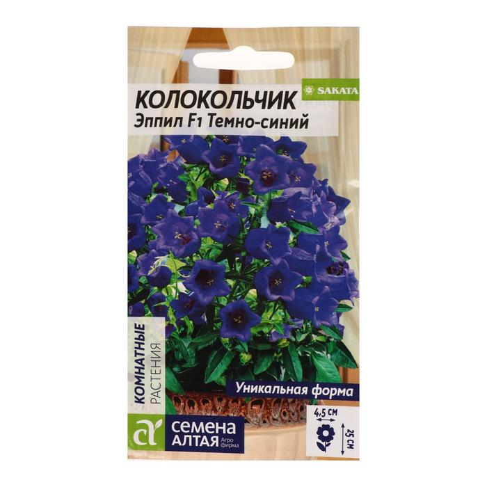 Интернет Магазин Цветок Кампанула